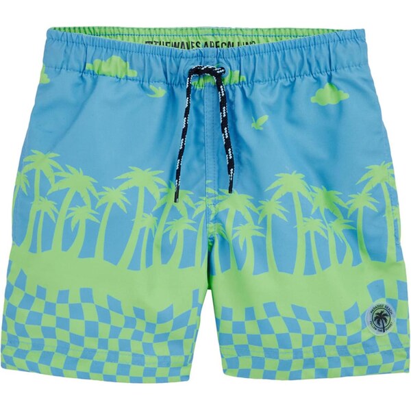WE Fashion Plavecké šortky Jongens modrá / zelená 65874930