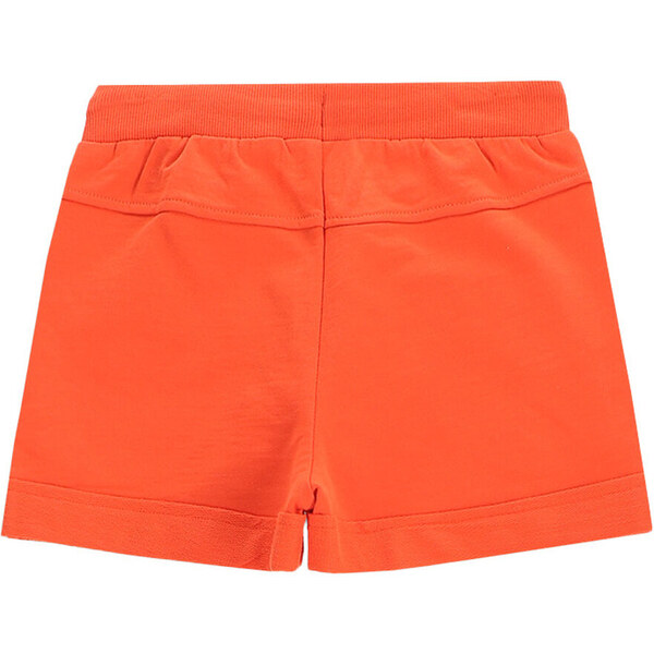 Športové kraťasy Coccodrillo 63764537