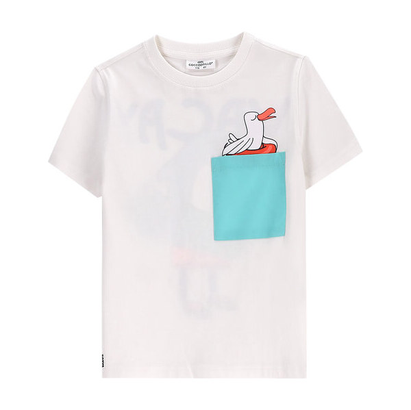 Tričko Coccodrillo 63788567