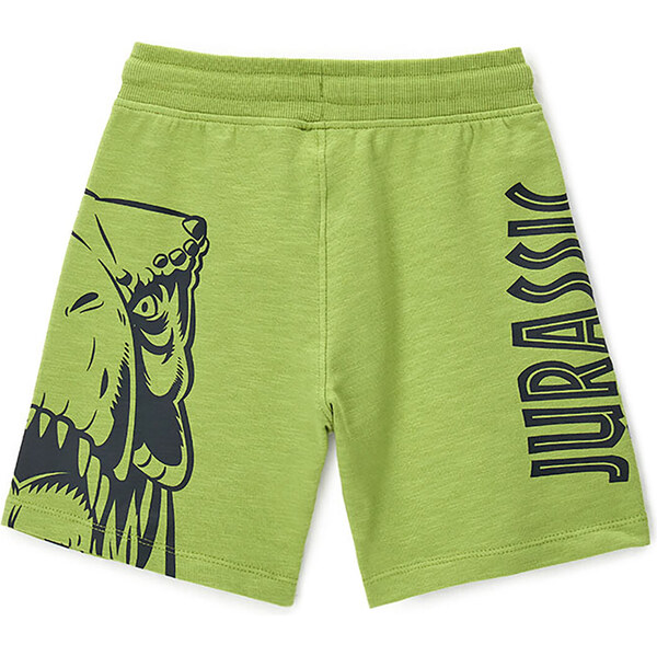 Športové kraťasy Original Marines 63800425