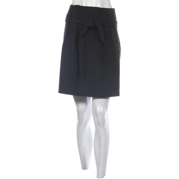 Sukňa Object 63959556