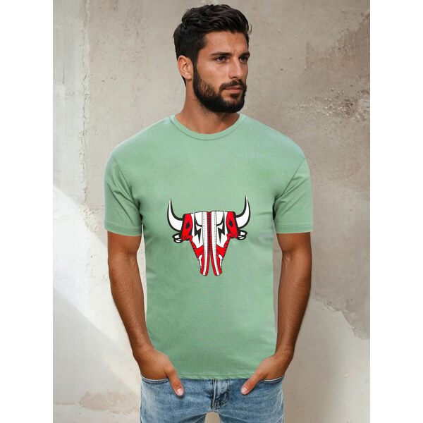 Svetlozelené pánske bavlnené tričko Dstreet RX4930 65503390