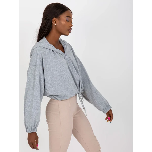 FPrice Mikina RV BL 8081.36P sivá 49743016