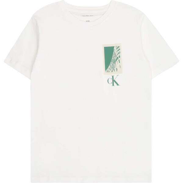 Calvin Klein Jeans Tričko zelená / biela 64255805