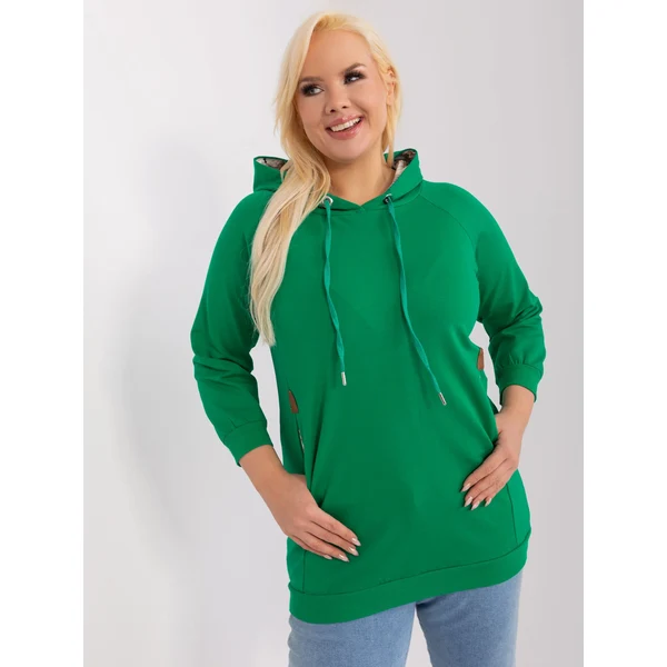 FPrice Mikina RV BL 8221.96 zelených 50116089