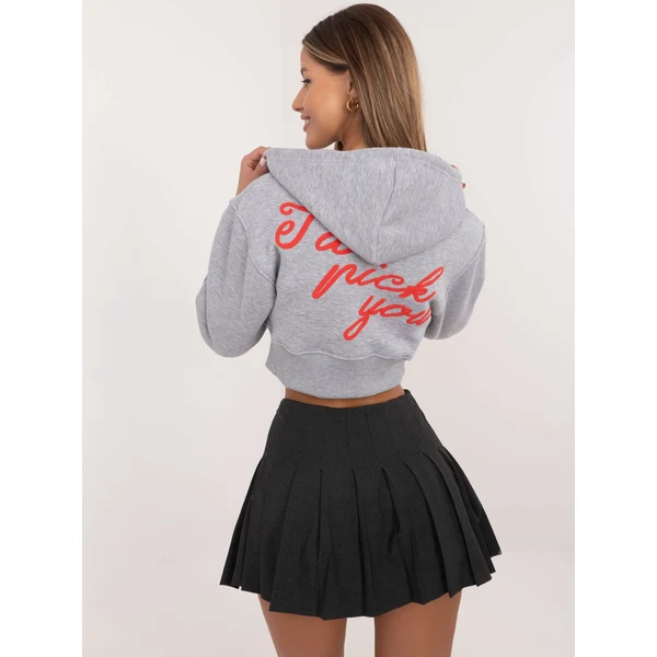 FPrice Mikina CLM BL 1331.02P sivá 62305534