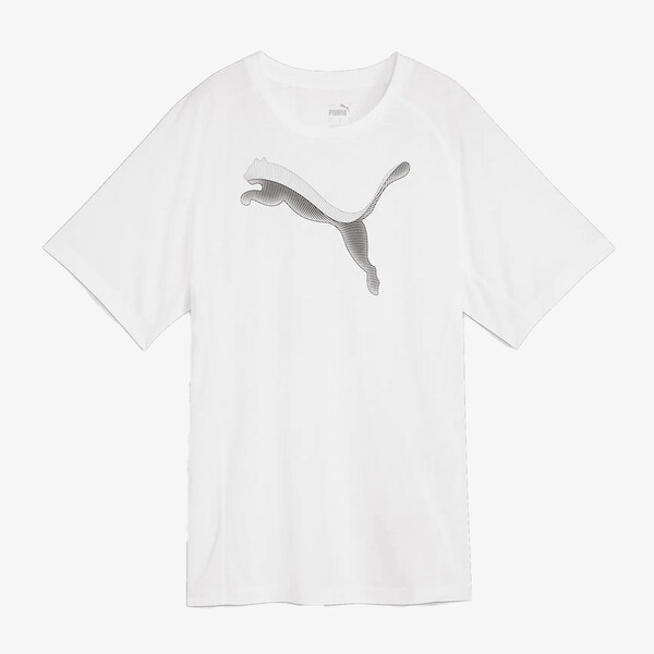 Puma Evostripe S 64334546