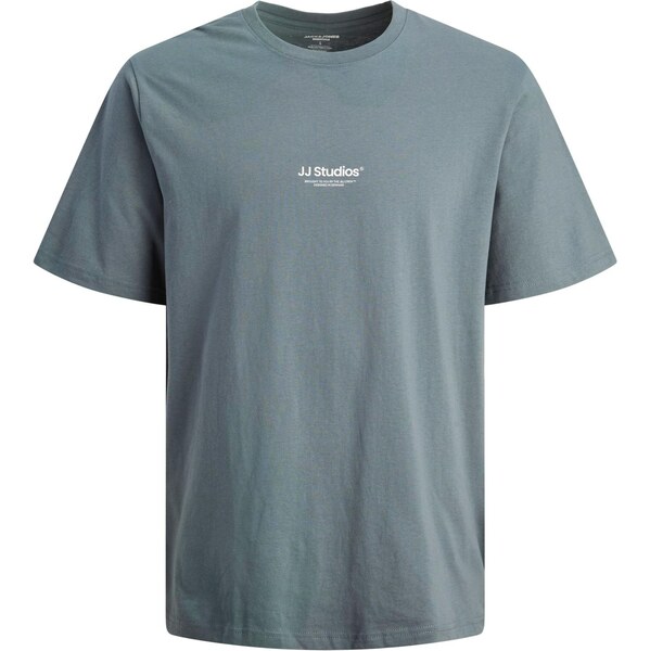 JACK & JONES Tričko JJESOHO sivá / biela 64390124