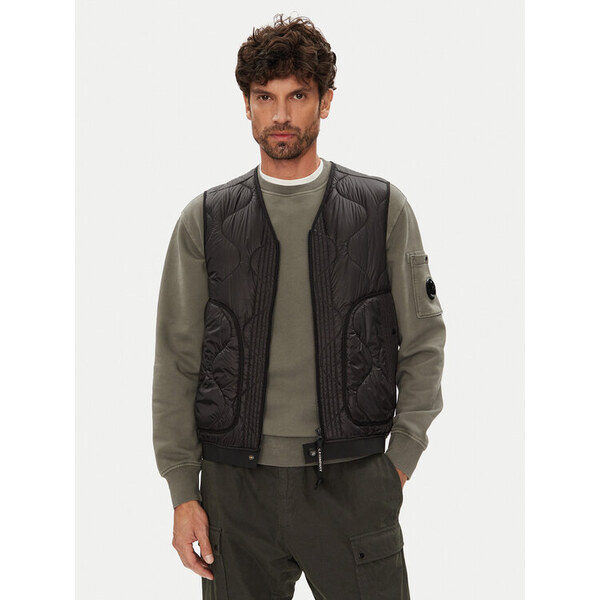 Vesta C.P. Company 64399880