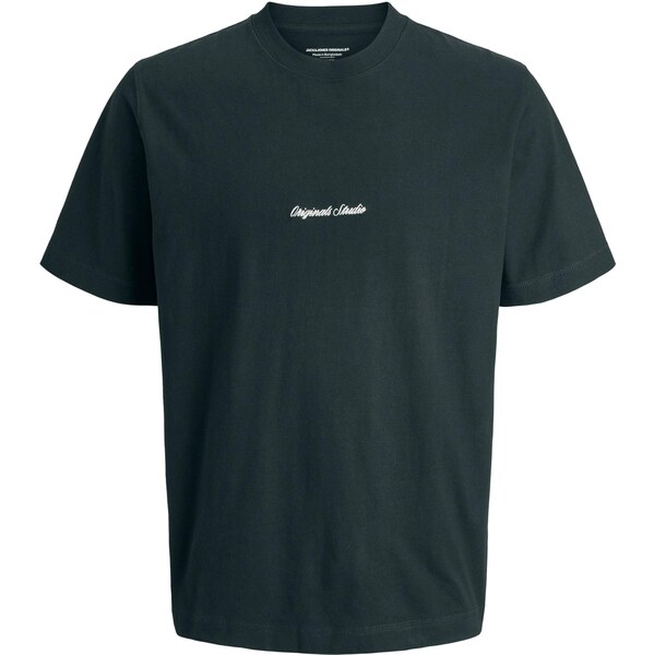 JACK & JONES Tričko JORNORREBRO jedľová / biela 64465753