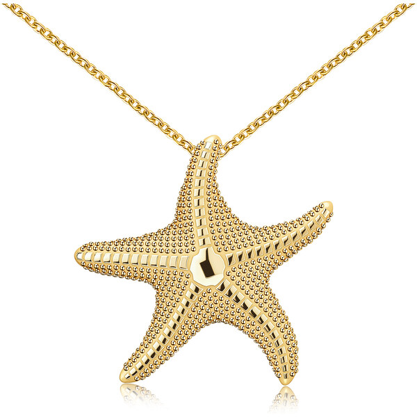 Olivie Stříbrný náhrdelník MOŘSKÁ HVĚZDICE 9725 64805019