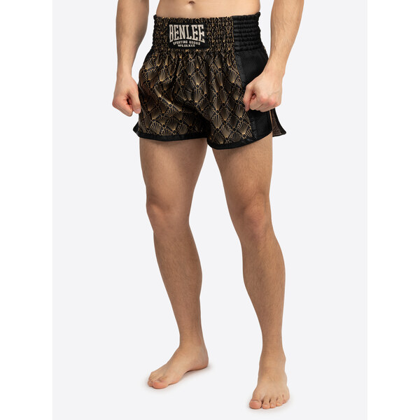 Benlee Mens thaibox trunks 64668113
