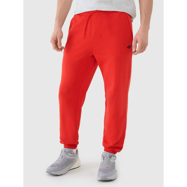 Mens Sweatpants 4F 64672572