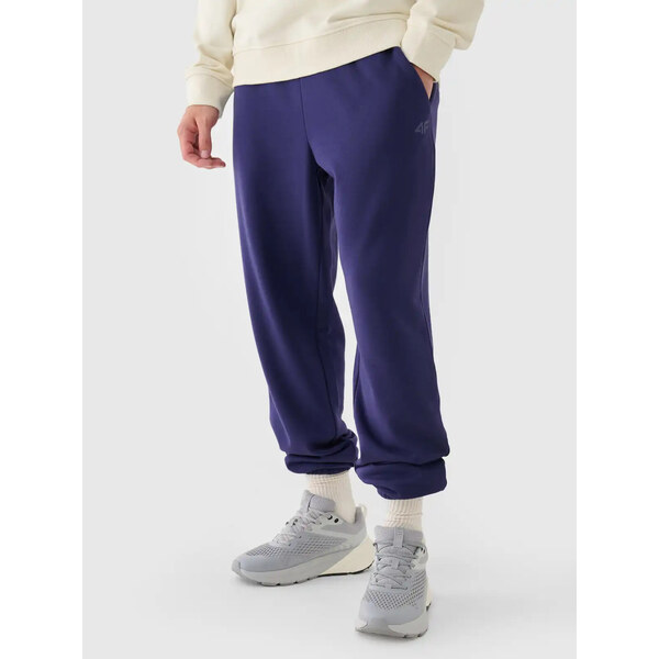 Mens Sweatpants 4F 64672567