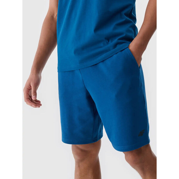 Mens shorts 4F 64678516