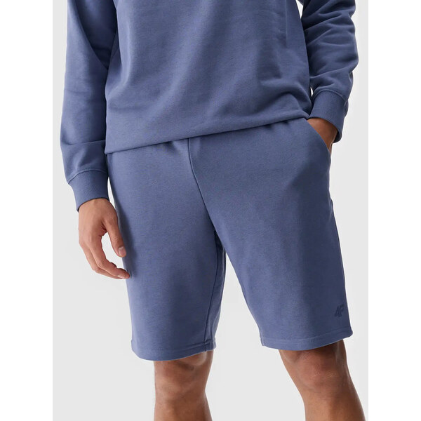 Mens Shorts 4F 64678561