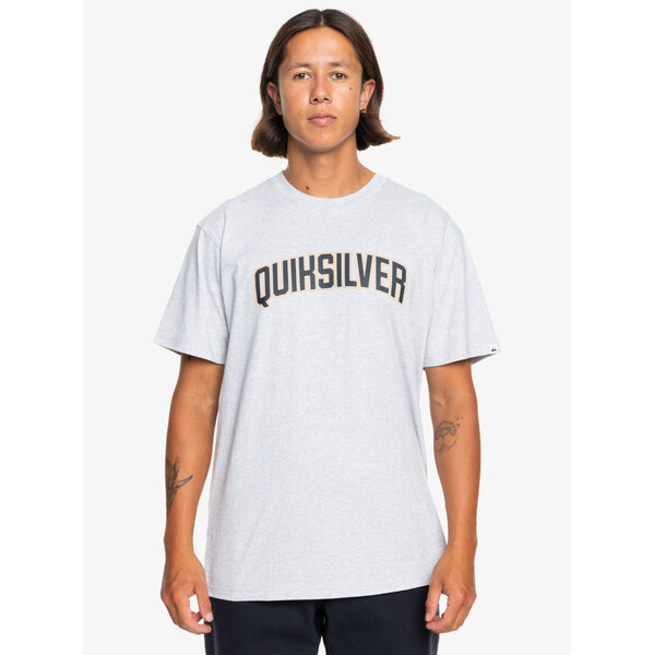 Roxy Mens T-shirt QuikSilver Scholarship 64693703