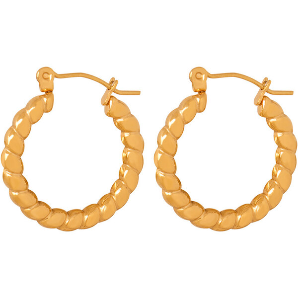 Troli Štýlové pozlátené náušnice kruhy VAAXF181G 66594920