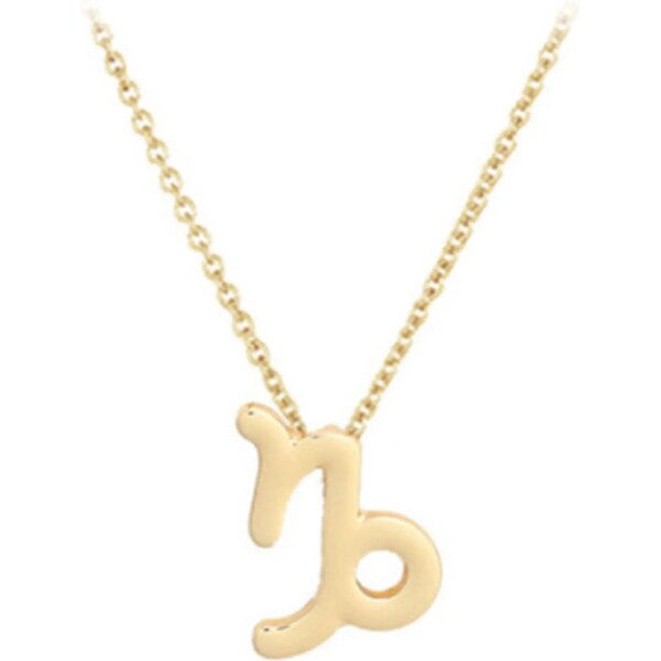 JVD Pozlátený náhrdelník s príveskom Kozorožec SVLN0195XH2GOKO 66592471