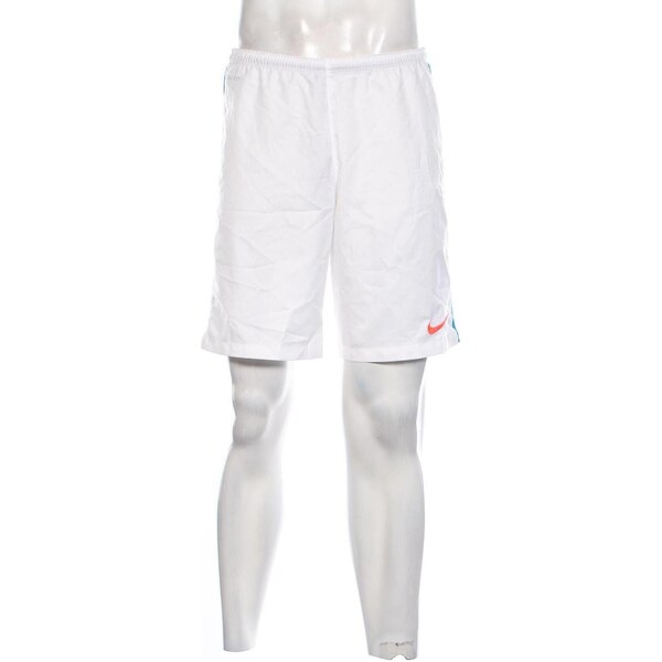 Pánske kraťasy Nike 64583390
