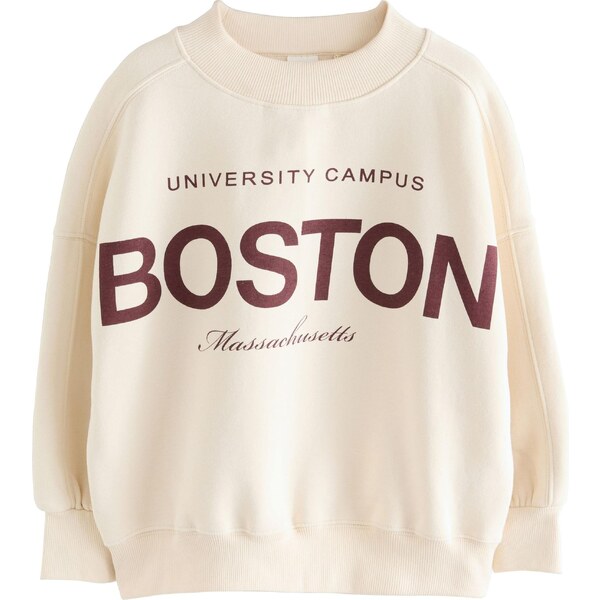 Next Mikina nebielená / tmavohnedá 65881631