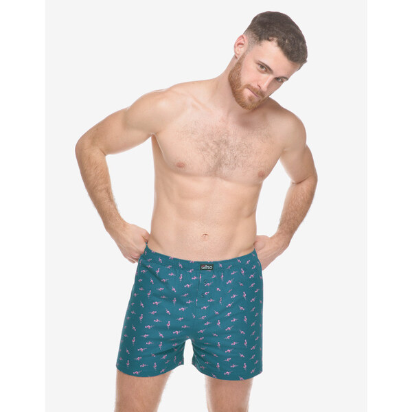 Pánske trenky Gino zelené (75217-DZMDFR) 64735469