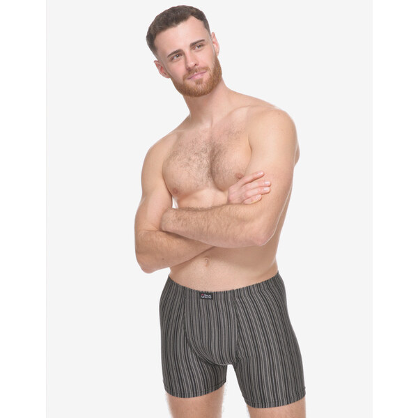 Pánske boxerky Gino viacfarebné (74183-MxCDxG) 64735470