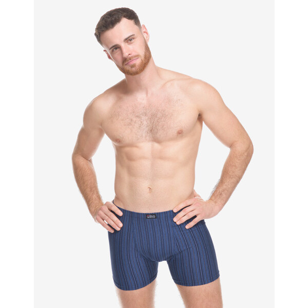 Pánske boxerky Gino viacfarebné (74183-DCMMBM) 64735471