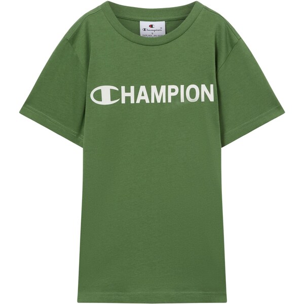 Champion Authentic Athletic Apparel Tričko zelená / šedobiela 65207007