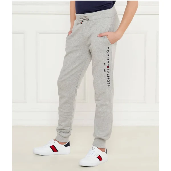 Tommy Hilfiger Teplákové nohavice | Regular Fit 61287481