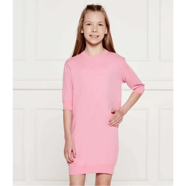 Pinko UP Šaty 63412731