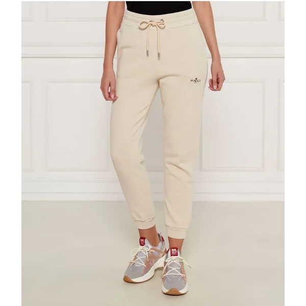 Pinko Teplákové nohavice CARICO | Regular Fit 57852627