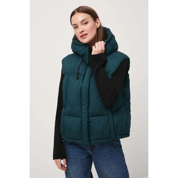 Vesta Medicine 66513752