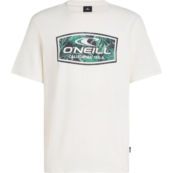 ONEILL Tričko antracitová / petrolejová / biela 65657114