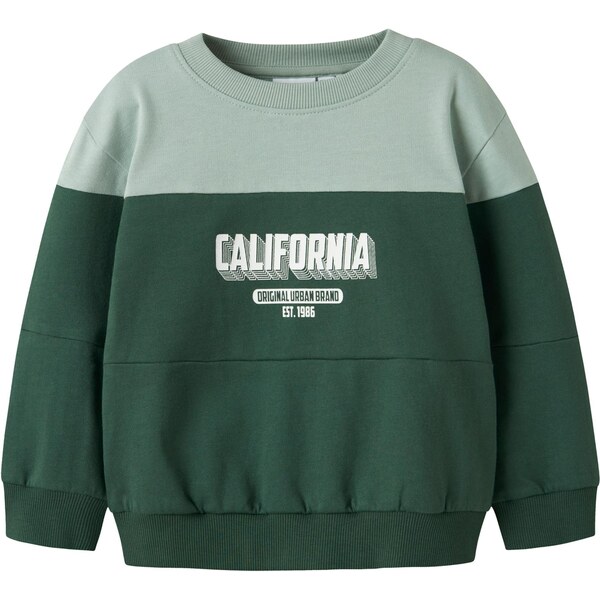 NAME IT Mikina NMMVEMIL zelená / pastelovo zelená / biela 65010888