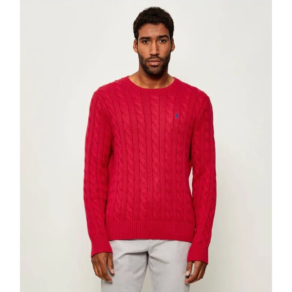 POLO RALPH LAUREN Sveter DRIVER | regular fit 65049047