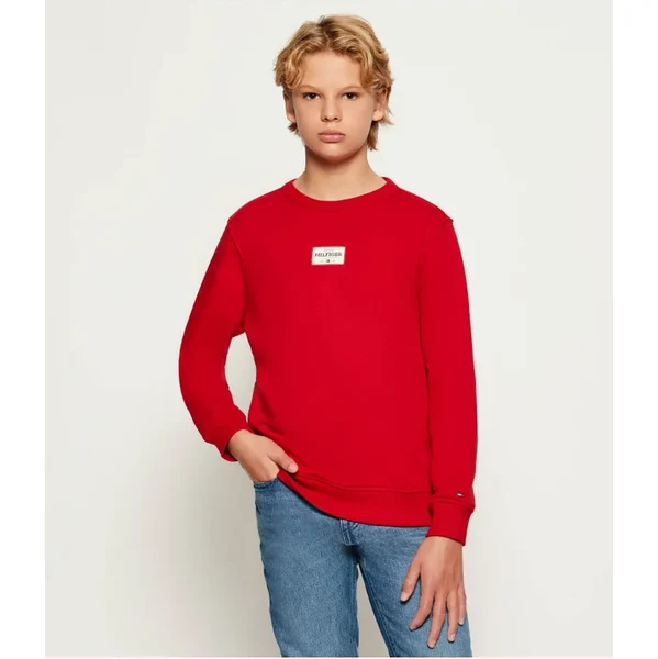 Tommy Hilfiger Mikina | Regular Fit 61928640