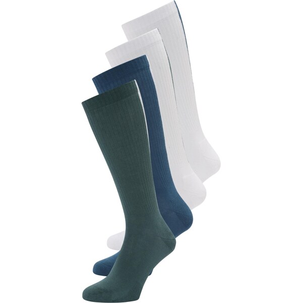 Calvin Klein Underwear Ponožky námornícka modrá / jedľová / biela 65135938