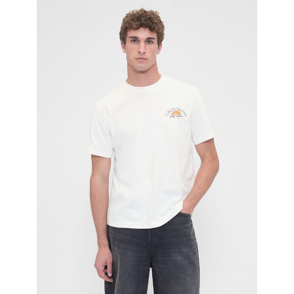 GAP Pánske Tričko Everyday Soft 797716-05 66265160