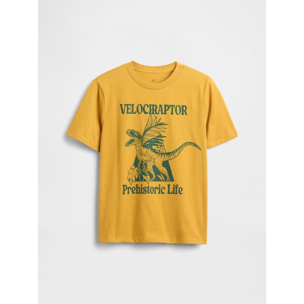 GAP Chlapčenské tričko 817480-06 66265374