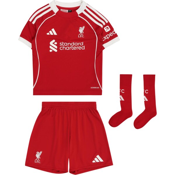 ADIDAS PERFORMANCE Tréningový komplet FC Liverpool 25/26 jasne červená 65460900