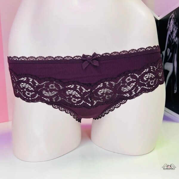 Victorias Secret Shine & Lace Bikini Panty 65202852