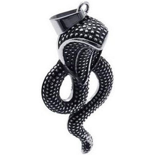 Impress Jewelry Prívesok z chirurgickej ocele - Had Kobra 65222410