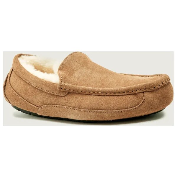 UGG Domáca obuv M ASCOT | shearling 65245700
