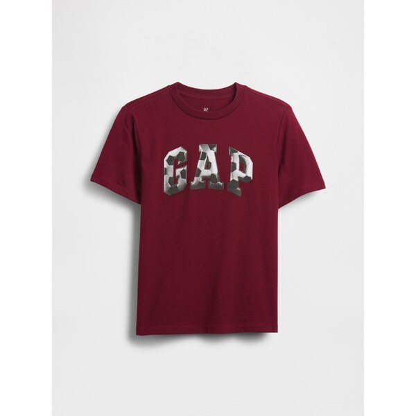 GAP Chlapčenské tričko s logom 817488-05 66265362