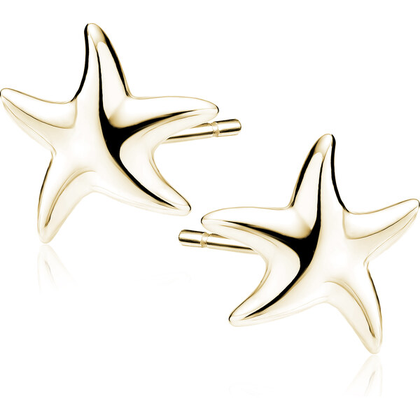 Olivie Stříbrné náušnice HVĚZDICE GOLD 9860 65359822