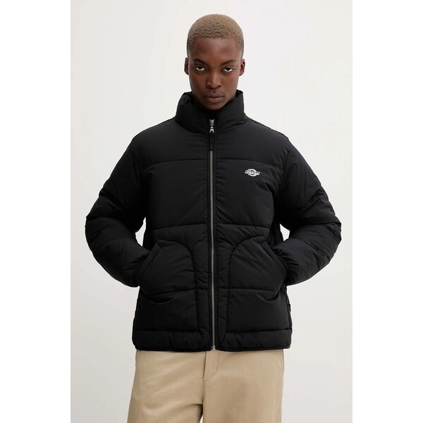 Bunda Dickies 65361751
