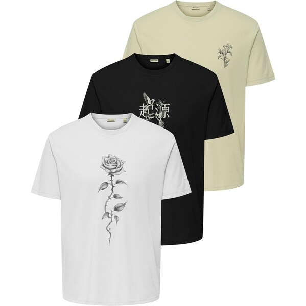 Only & Sons Tričko ONSJEFF sivá / pastelovo zelená / čierna / biela 65365813