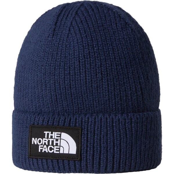 THE NORTH FACE Čiapky námornícka modrá / biela 65883242