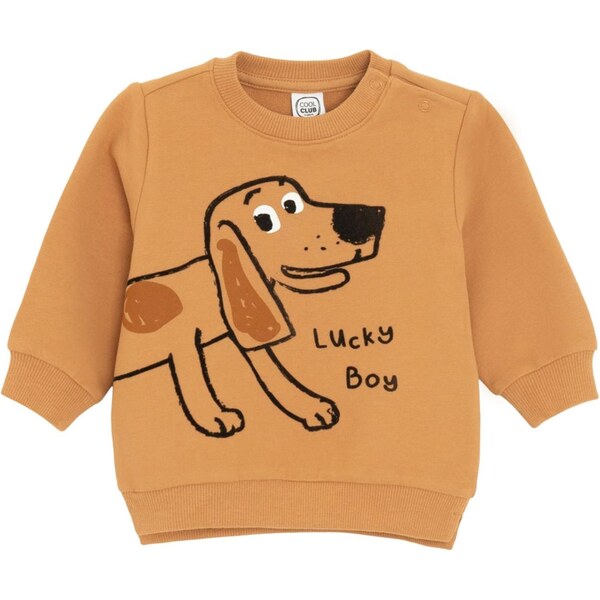 Cool Club Mikina hnedá / čierna / biela 65891183